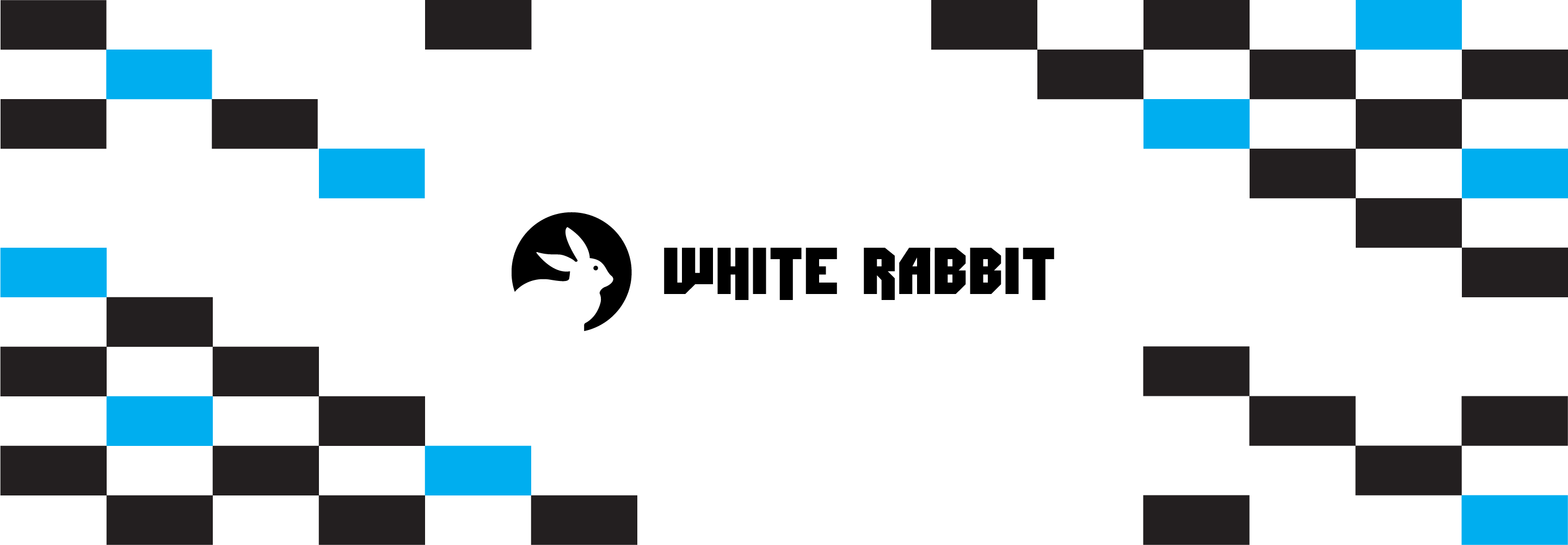 White Rabbit Intel